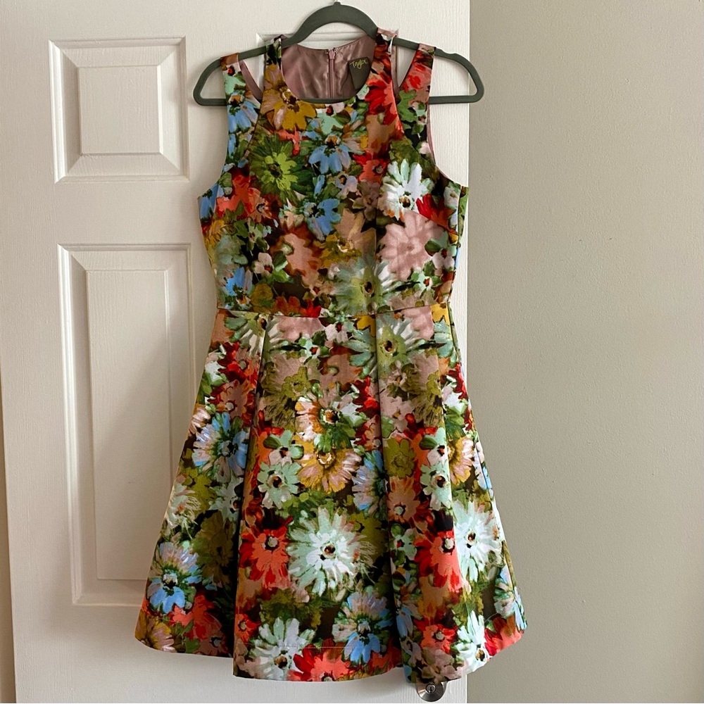 Vintage Floral Fit & Flare Dress by Taylor Dresses LIKE NEW